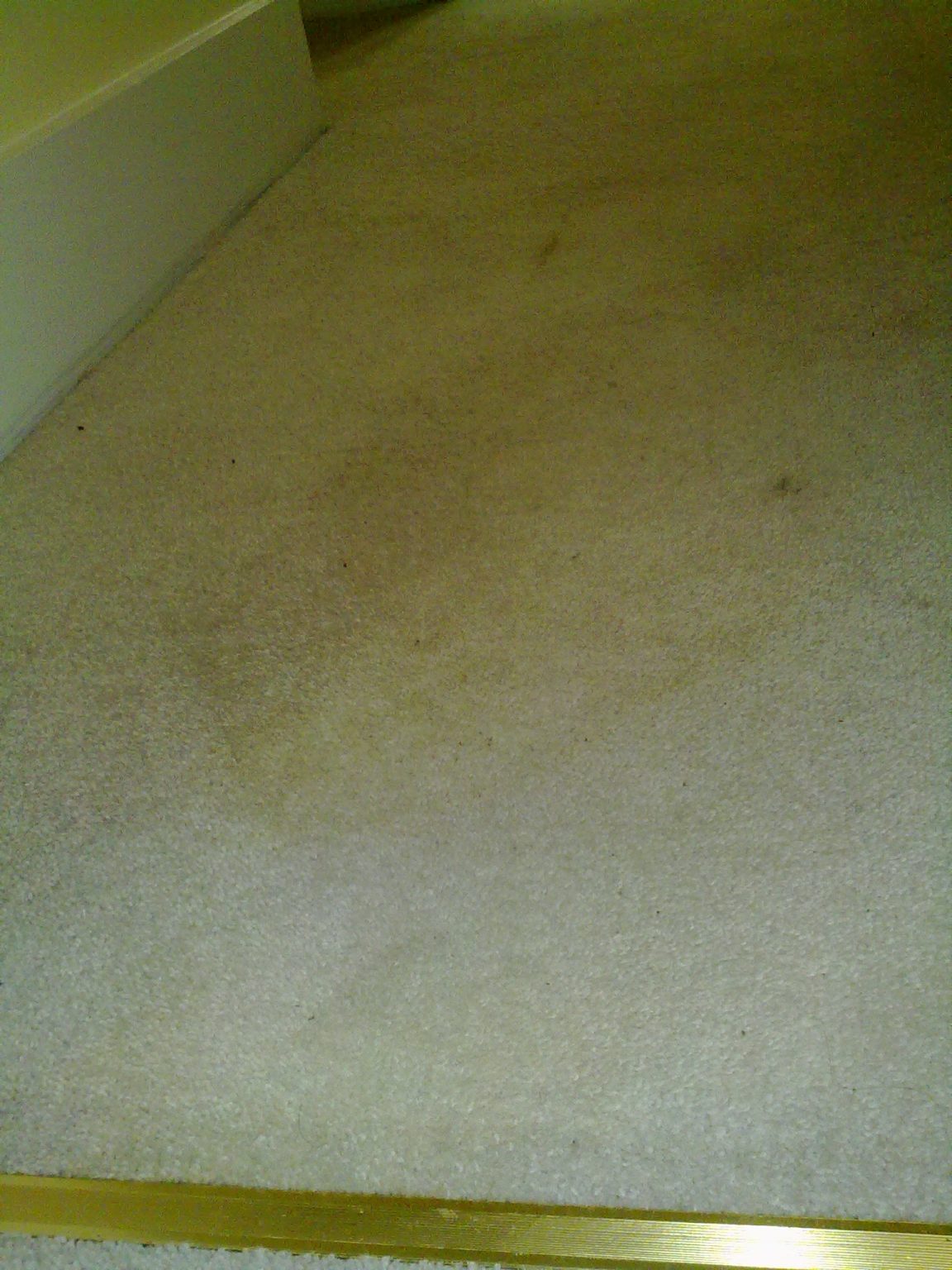 Badly Cleaned Carpet Independent Carpet & Flooring Inspector